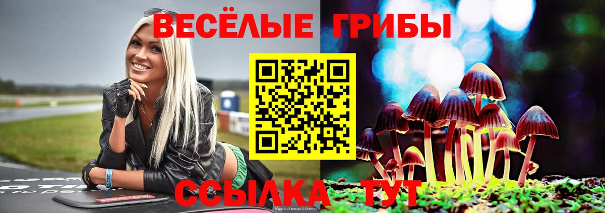 Псилоцибиновые грибы Psilocybe Орск